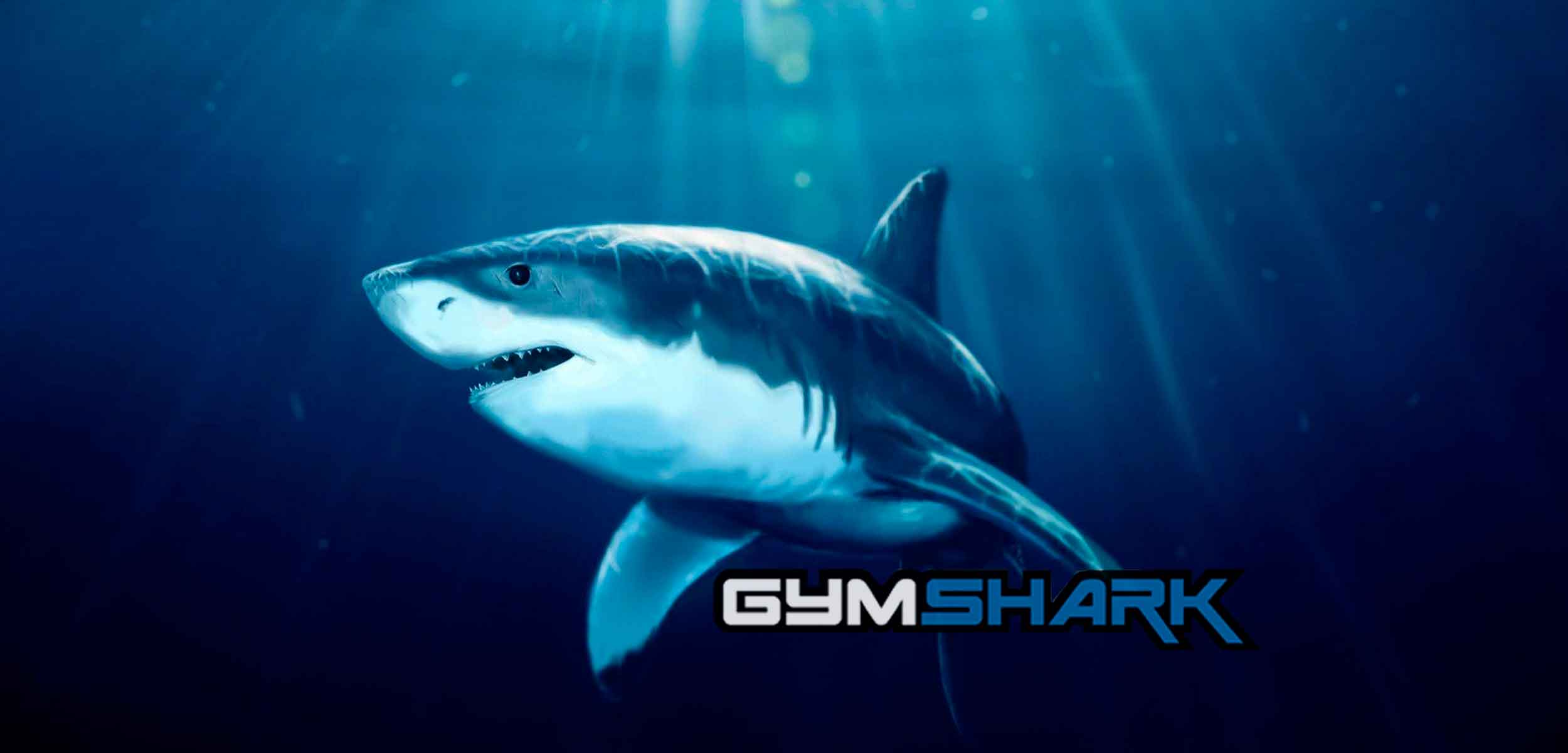 Gimnasio Shark